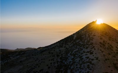 #10 Selbstorganisation des inneren Erlebens ‒ das Attraktormodell der Synergetik im Bereich der Psychologie